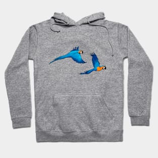 Hyacinth macaw | blue parrot Hoodie